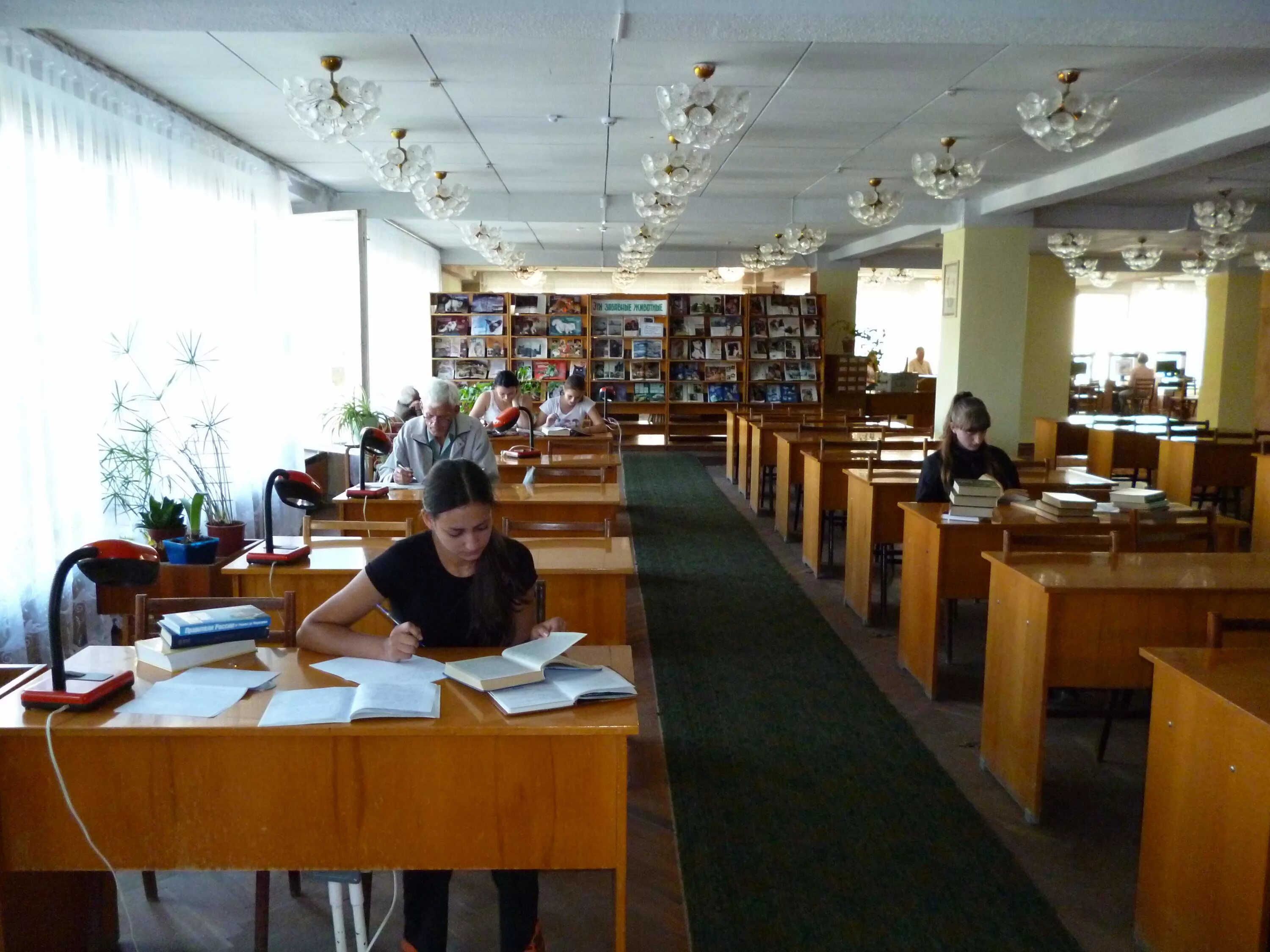 Нижне городская библиотека. Бендерская Центральная библиотека. Библиотека Пушкина читальный зал. ОГОНБ Пушкина читальный зал. Читальный зал Воронеж Центральная городская библиотека.