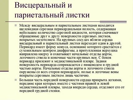 Париетальный