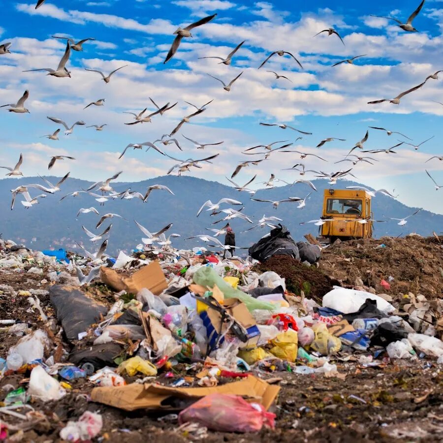 A lot of pollution. Свалка. Горы мусора в природе. Бытовые отходы. Красивая свалка.