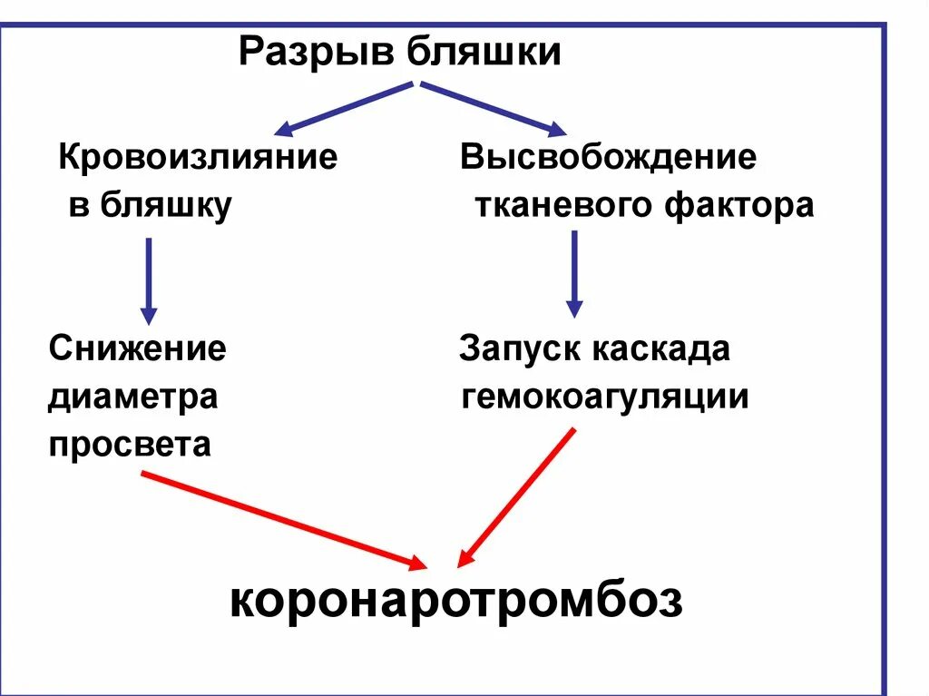 Тканевой фактор.