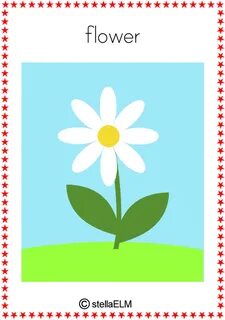 Flower word