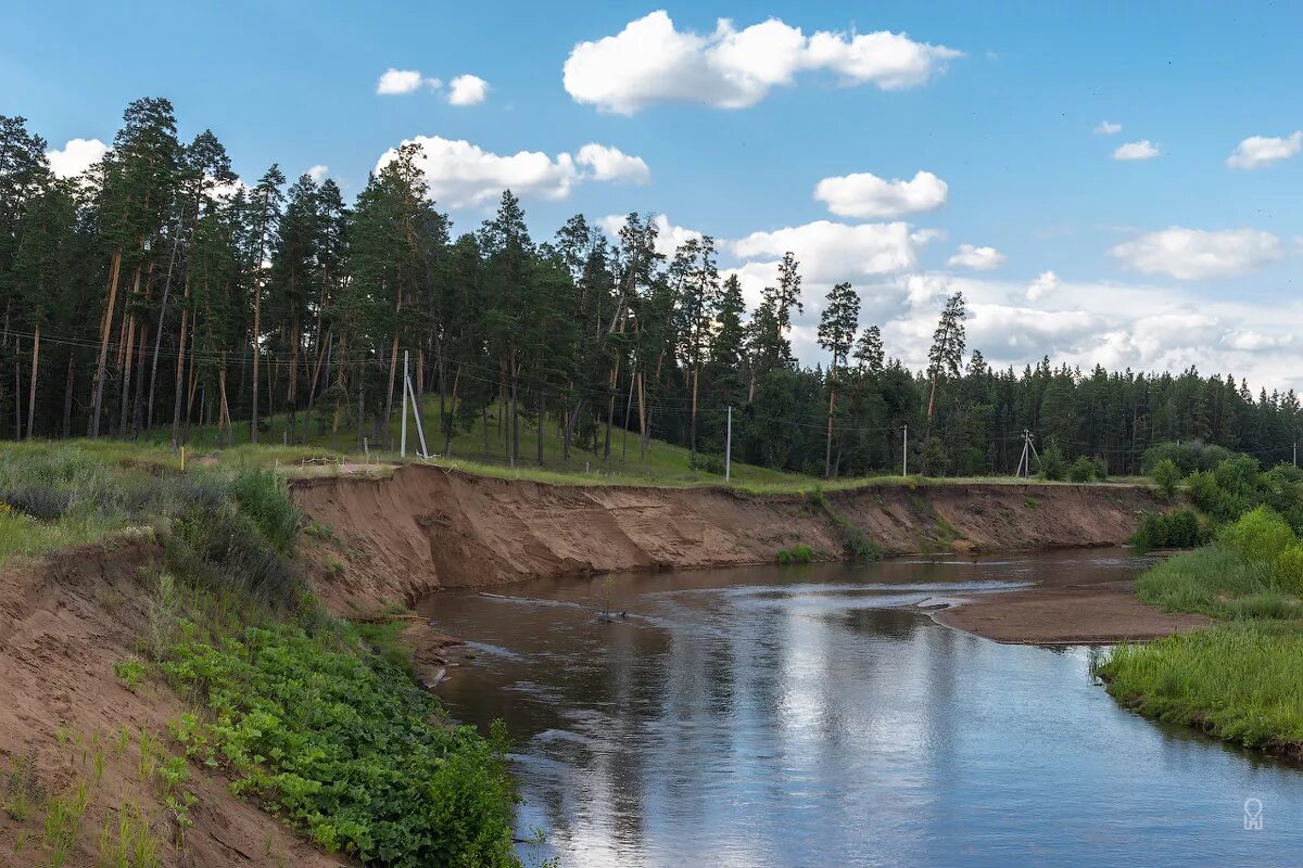 Бузулукский бор. Бузулукский Бор Боровка. Река Боровка Бузулукский. Речка Боровка Бузулукский Бор. Реки Бузулукского Бора.