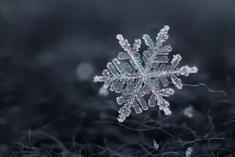 Красивые белые снежинки