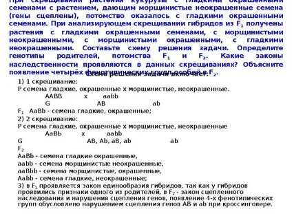 При скрещивании растений флоксов