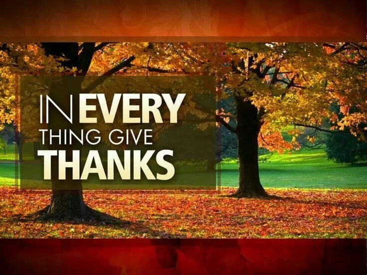 Thank you. Give thanks логотип. The thanksgiving families give thanks. Give thanks логотип. Give thanks логотип.