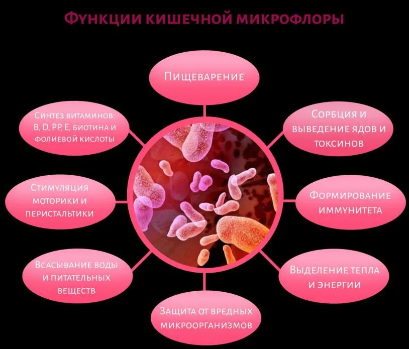 Про микрофлору
