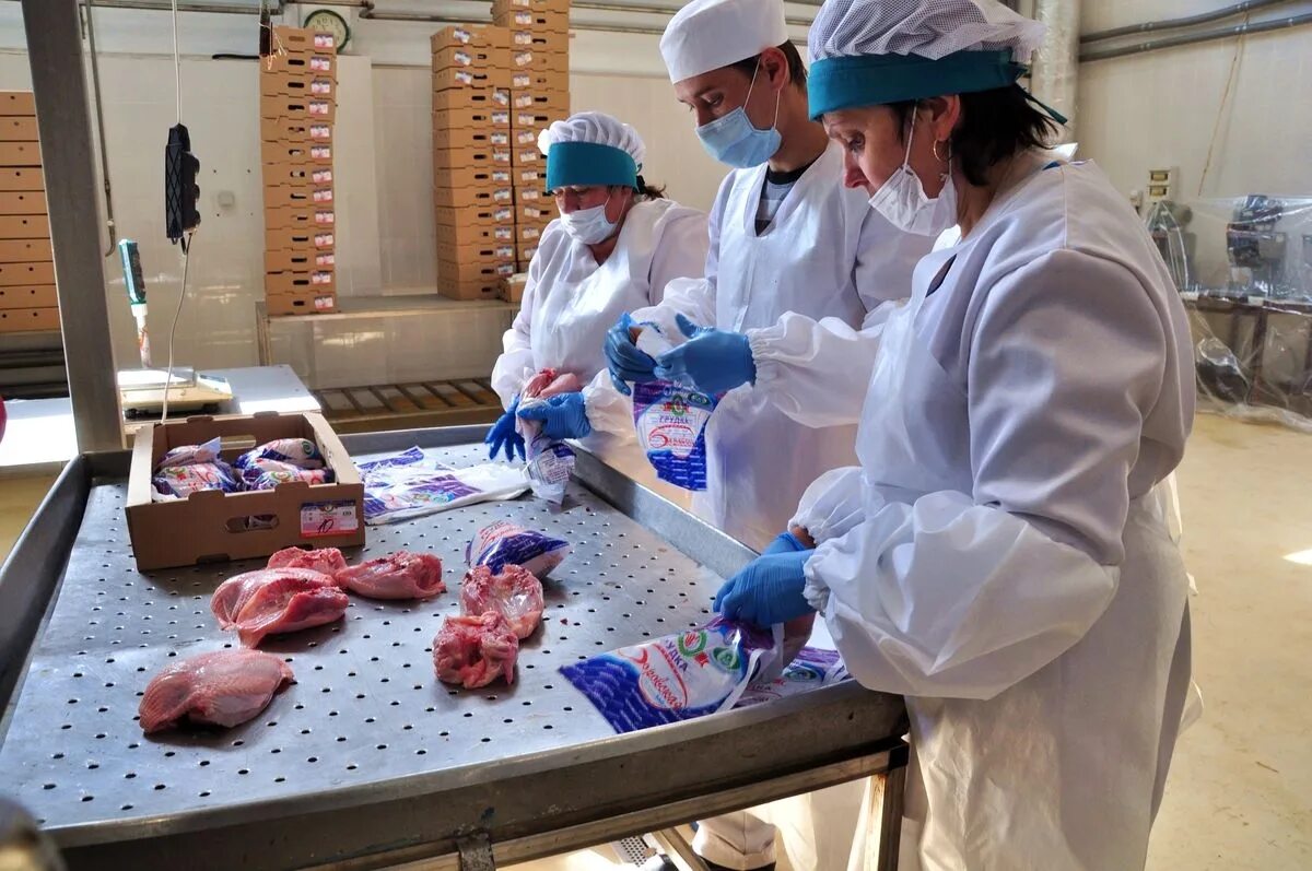 агрофирма боровская. агрофирма боровская курганская область. агрофирма боровская. агрофирма боровская. агрофирма боровская.