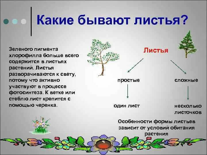 Березовый лист какое прилагательное. Листья какие прилагательные. листва в прилагательное. какая экология прилагательные. какая бывает экология прилагательные.