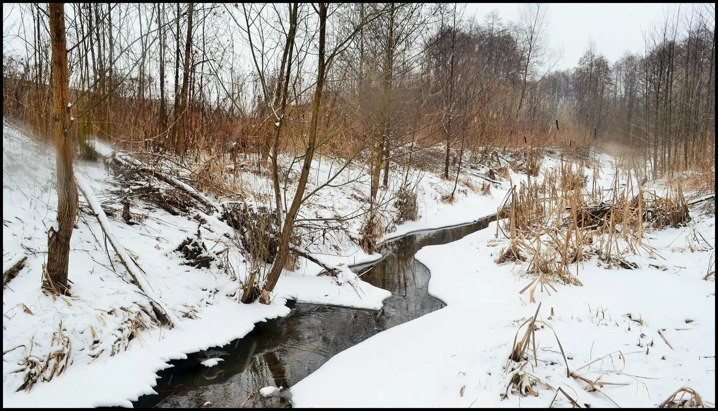 Ручьи весной. Бегут ручьи. По овражкам бегут ручьи к реке. Щербаков «журчат ручьи весенние». Весенние ручьи.