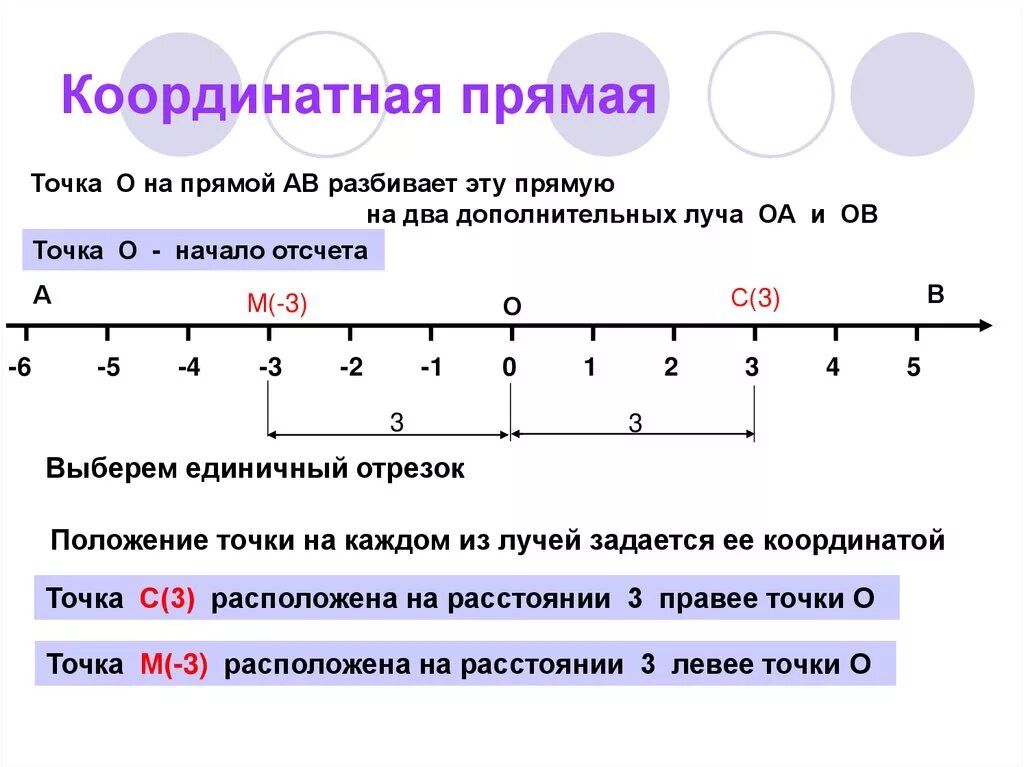 Постройте координатные прямые х и у. Обязательные элементы координатной прямой 6 класс. Координатная прямая с единичным отрезком. Как определить координаты точек на прямой 5 класс. Координатная прямая 6 класс кратко.