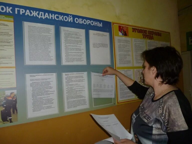 Инструктаж по го. Проведение инструктажа фото. проведения инструктажей с населением. фото инструктажа работников. вводный инструктаж мчс россии.