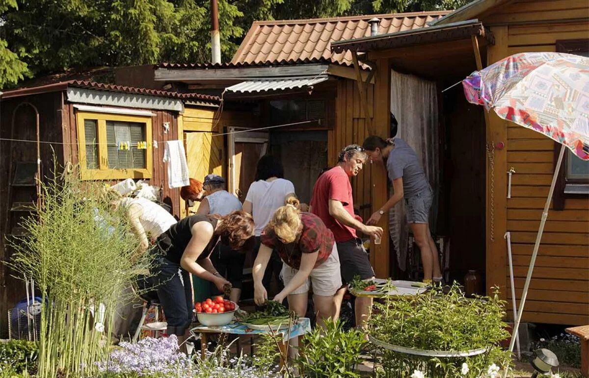 друг дачника. шарж дачница. друг дачника. дачников с днем дачника. шарж дачник.