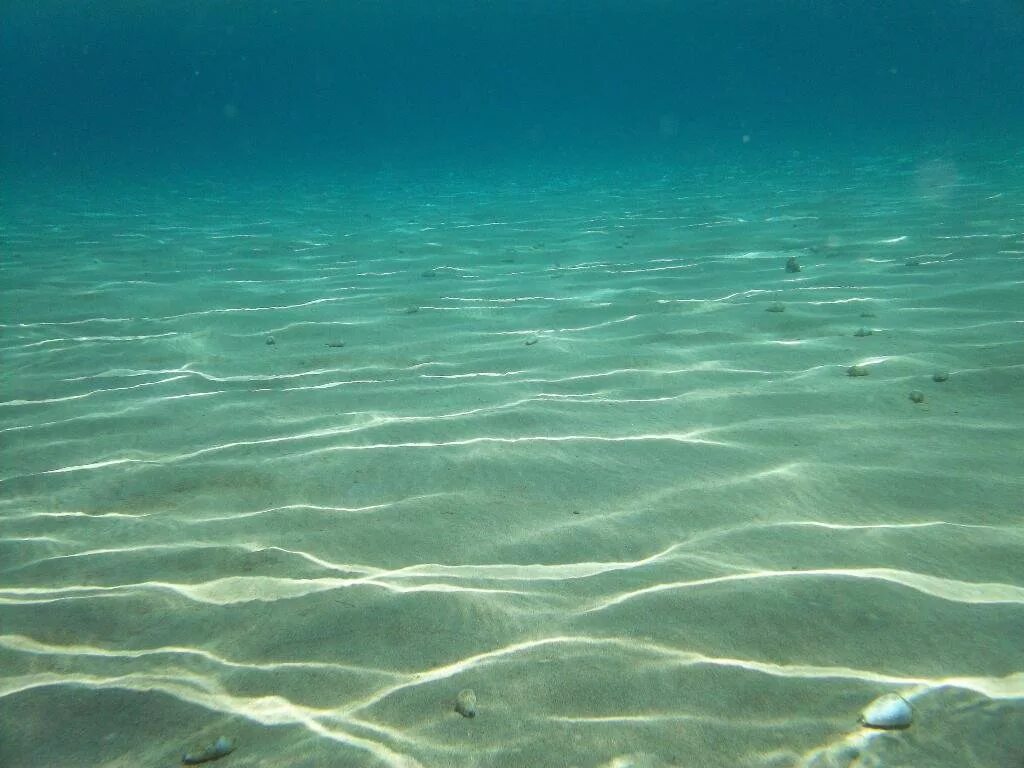 Океанический склон. Атлантический океан коралловый риф. Барьерный риф в австралии. Море под водой. Дно моря.