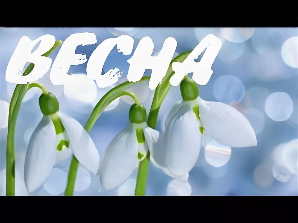 Подписаться на весну