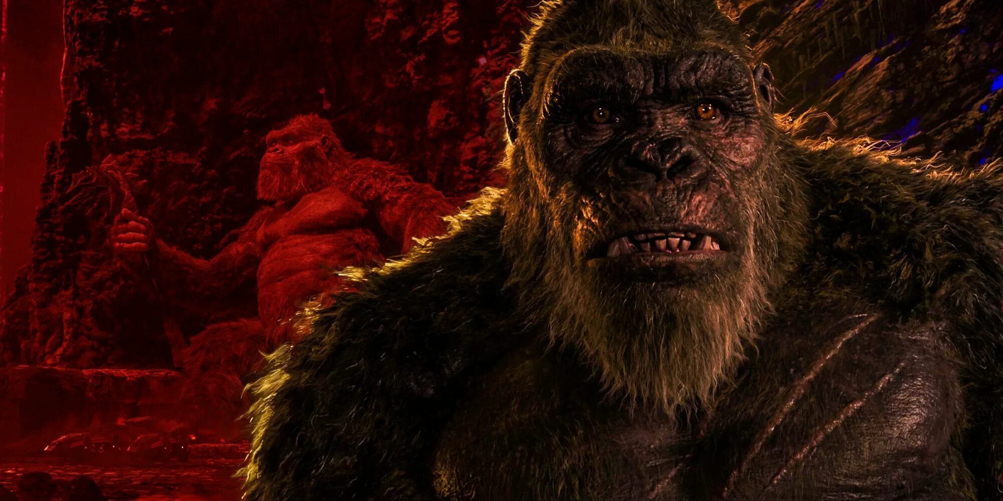 Kong official. Фильм конг и годзилла 2021. Kong official. Питер джексон кинг конг игра. Kong official.