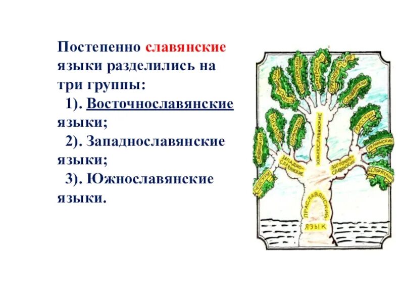 К западнославянской группе относятся. Южнославянская группа языков. Западнославянская группа языков. Славянская семья языков. Восточнославянские западнославянские южнославянские языки карта.