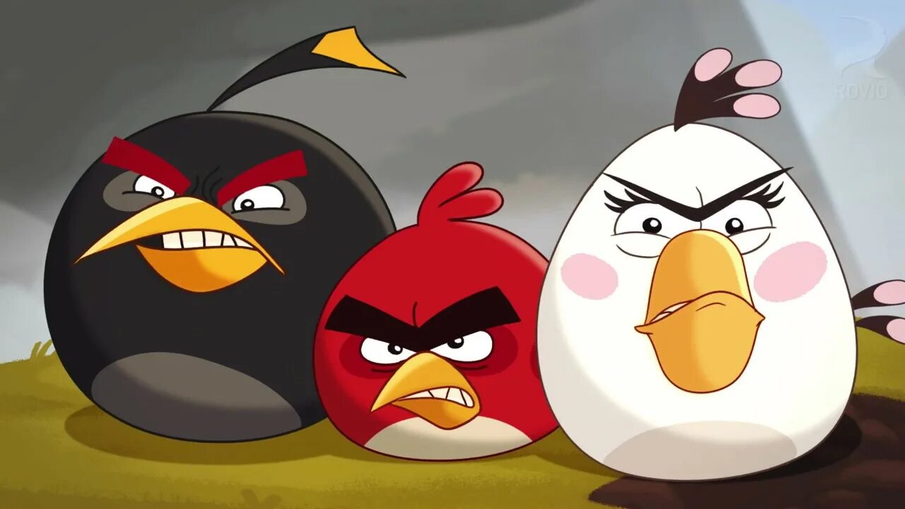 Бердс сердитые птички. Энгри бердз злые птички. Злые птички (Angry Birds toons!) 2013. Angry Birds toons птицы.