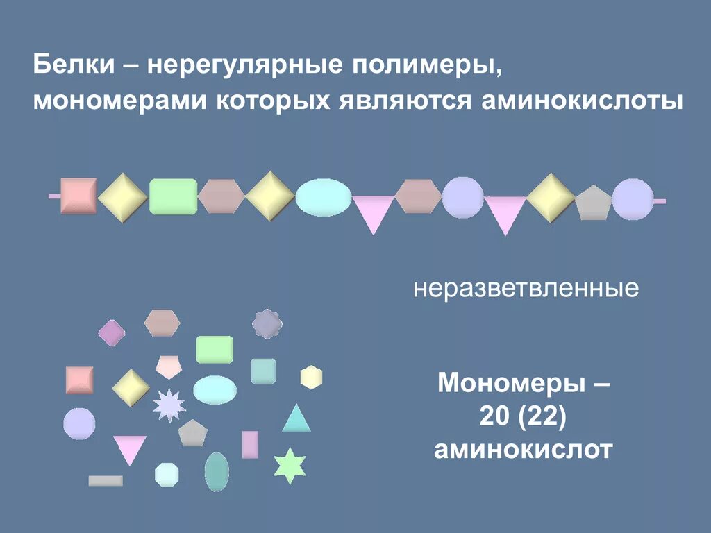 Мономеры белка называются. Белки это полимеры мономерами которых являются. Белки нерегулярные полимеры. Полимеры и мономеры. Белки – это нерегулярные полимеры, мономерами которых являются -.