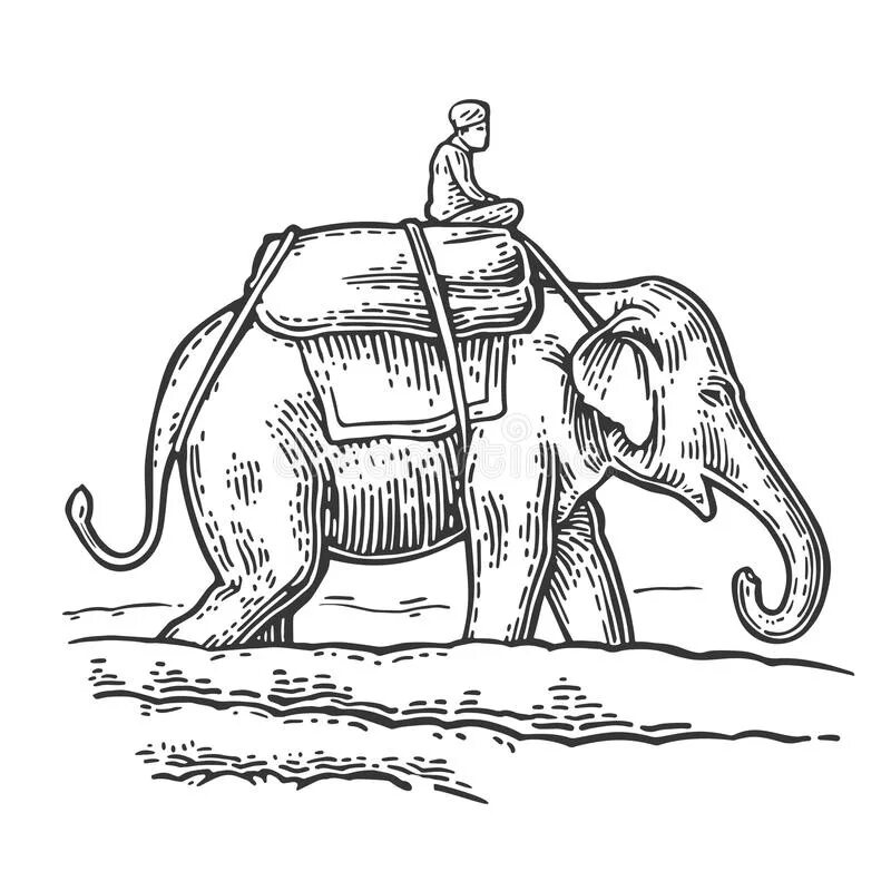 Где капитан слон. Всадник на слоне. Человек на слоне рисунок. Слон сидит.