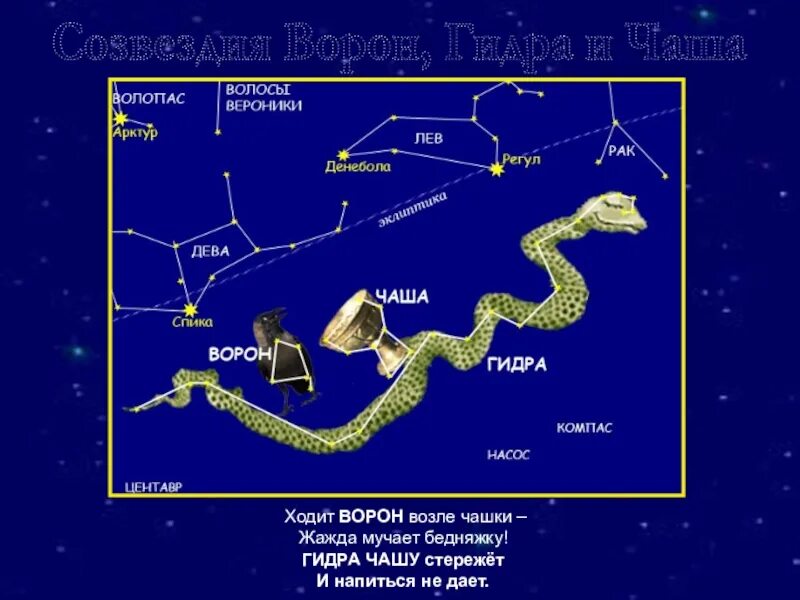 Созвездие весеннего неба дева. Созвездия весеннего неба волосы Вероники. Созвездие гидра Легенда. Волосы Вероники Созвездие схема. Волосы Вероники Созвездие на небе.
