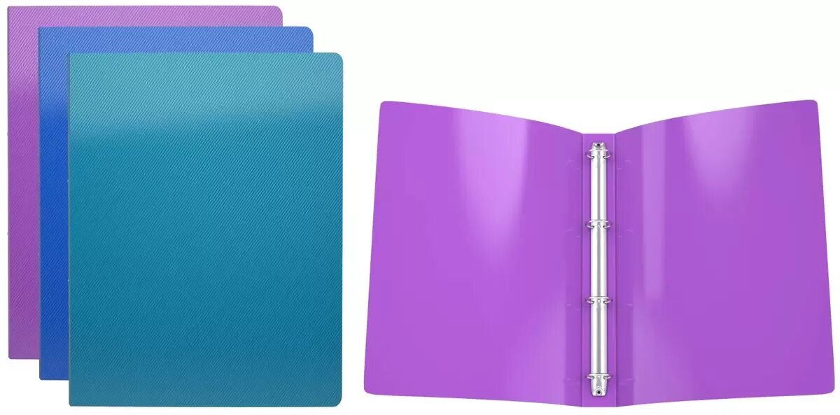 Папка 2 кольца 20мм index metallic ассорти. Папка-регистратор а4 70мм erich krause granite. Папка вкладыш с перфор. Папка а4 окпд 2. Папка а4 окпд 2.