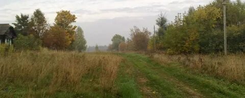 Деревня медведево