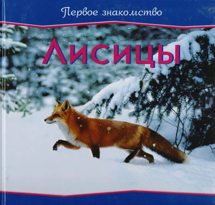 книга рыжий лис чарльз. книга хозяйка постоялого двора рыжая лисица. всего лишь травница ксения руднева читать онлайн бесплатно. книга хозяйка постоялого двора рыжая лисица. ты хозяйка моего сердца.