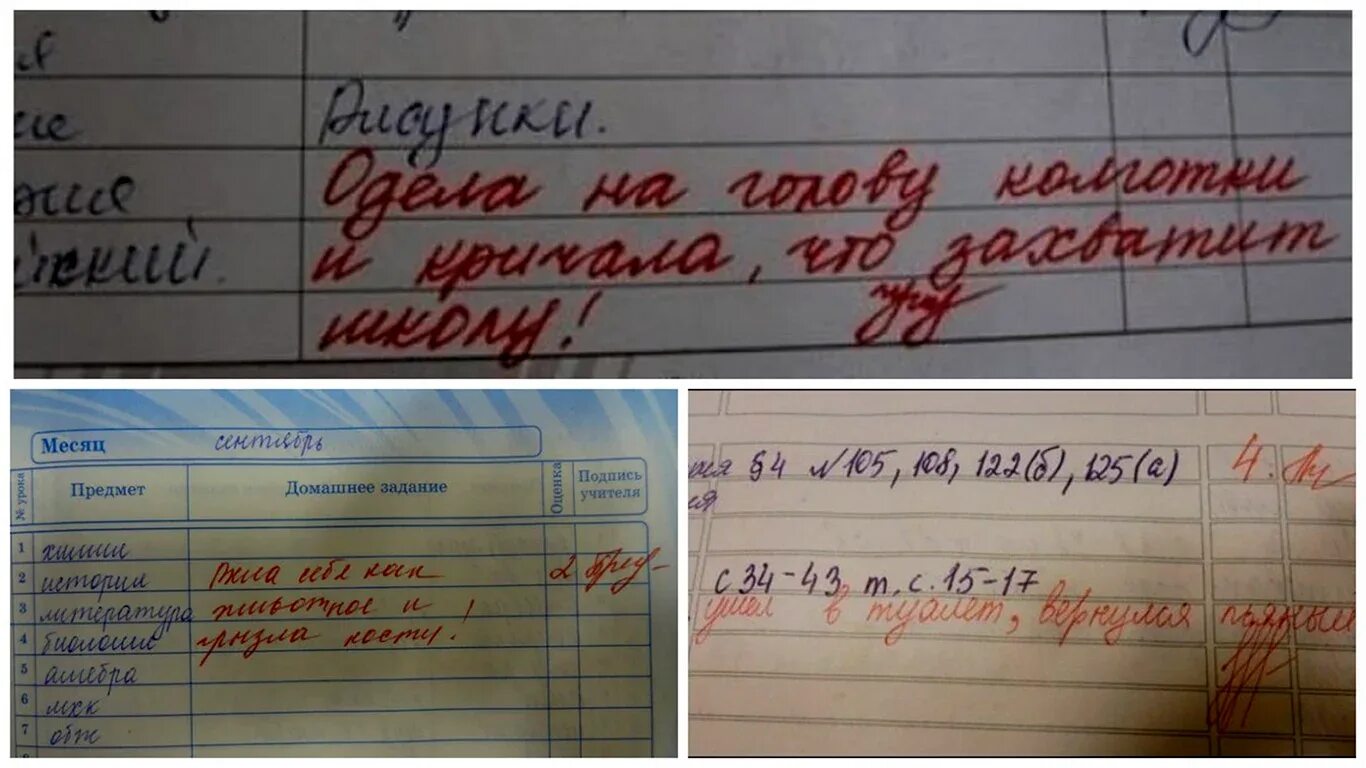 Смешные замечания в дневнике. Школа про дневник. Замечания в школьных дневниках. Смешные замечания в дневнике. Прикольные замечания в дневниках.