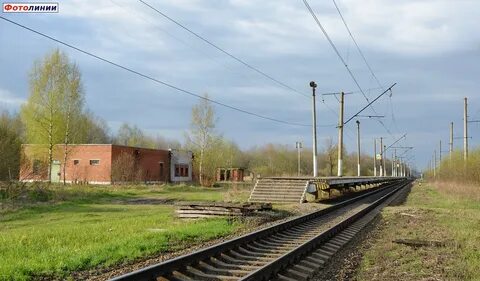 Спасская полисть новгородская область