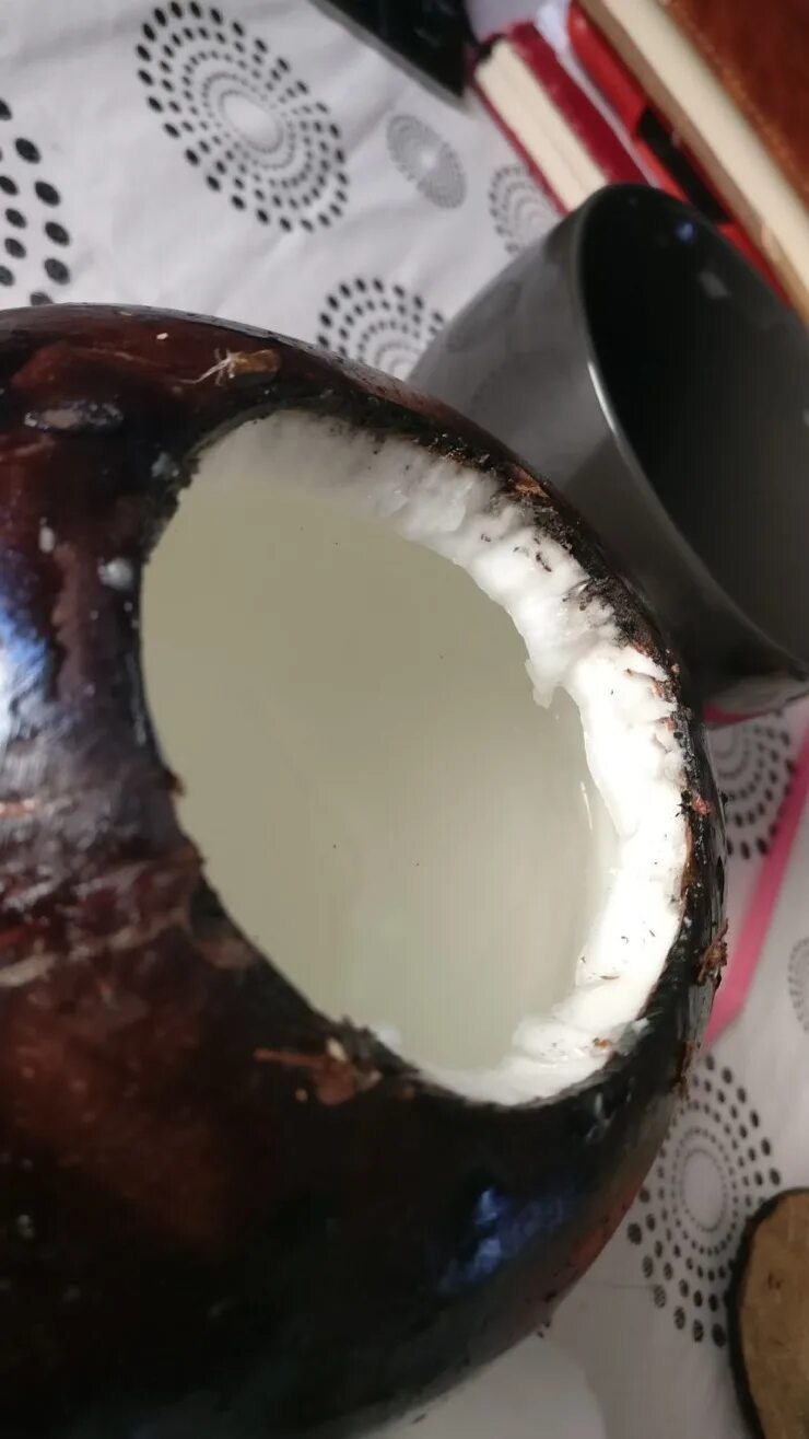 Coconut punch. кокос с открывашкой. как вскрыть кокос с открывашкой. питьевой кокос с открывашкой. кокос питьевой с трубочкой.