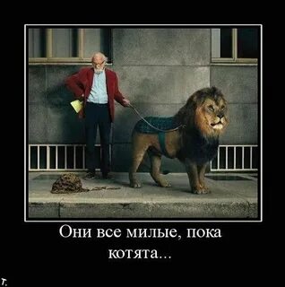 Пока мил