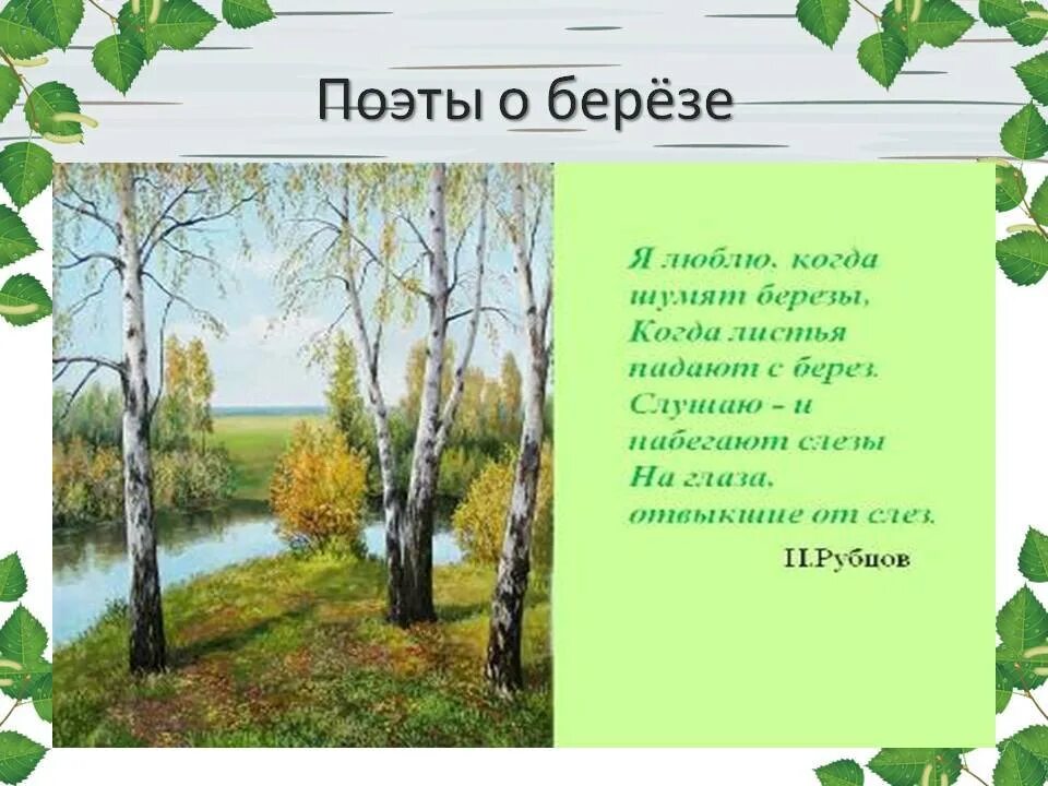 Русская березка стихотворение. Стих про березу. Стихи о берёзе русских поэтов. Берёзка стихотворение. Стихатварение про берёзу.