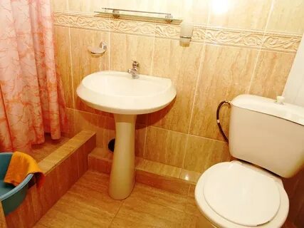 Самшит адлер гостевой