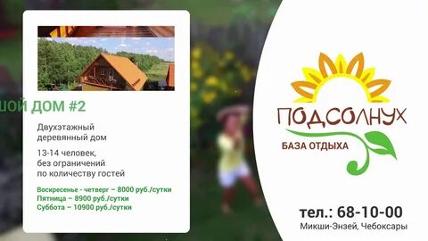 Отдыха подсолнухи омск