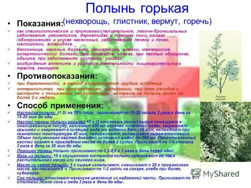 Как используют полынь. Лечебные травы полынь. полынь для чего используется. чем полезна полынь. горькая полынь для чего полезно.