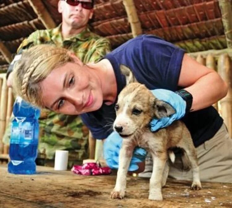 Volunteers help animals. Help animals. Ферма животные волонтер. Volunteer help animals. Animals help people.