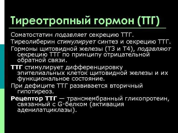 ТТГ (тиреотропный гормон) физиология. Тиреотропный гормон стимулирует Синтез:. Тиреотропный гормон секретируется. ТТГ стимулирует Синтез. Секретирует тиреотропный гормон