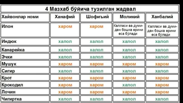 Какие мазхабы есть в исламе. Мазхаб. мазхабы различия. 4 мазхаба. мазхаб отличия.