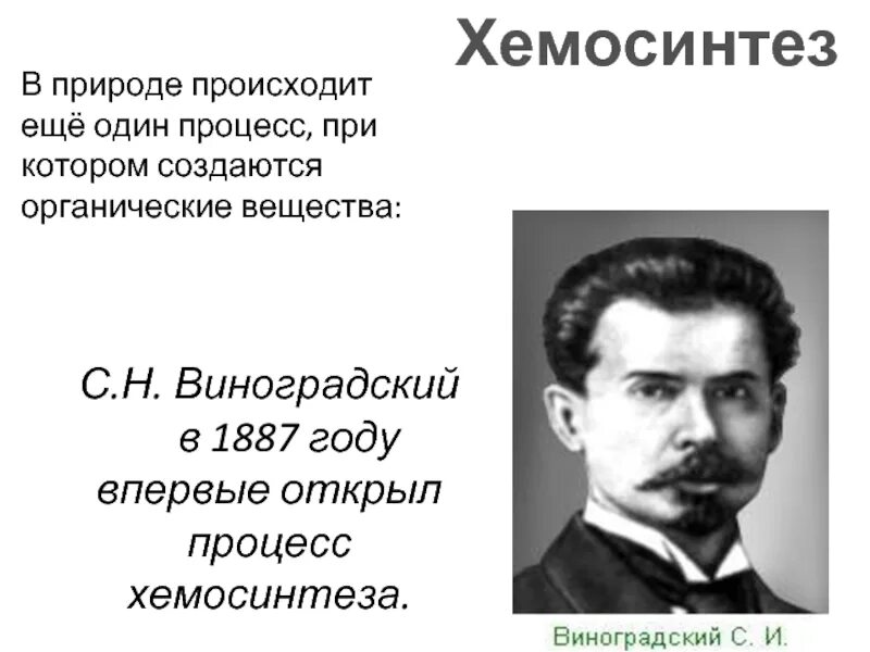 Хемосинтез относится к процессам. Виноградский хемосинтез. открытие хемосинтеза с.н виноградским. хемосинтез открыл.