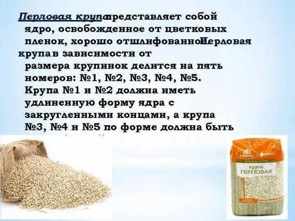 Диаметр риса
