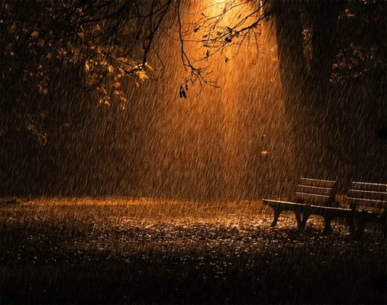 Дождь в лесу стих. Осень дождь. Осень ночь дождь. "Дождливый вечер".