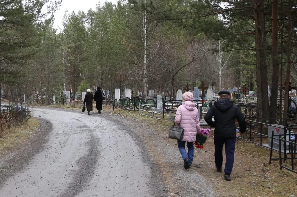 Сайт захоронений Нижний Тагил кладбище пихтовые горы. Кладбище пихтовые горы Нижний Тагил. Кладбище Нижний Тагил вагонка пихтовые горы. Медведь на кладбище в Нижнем Тагиле. Поиск могил нижний тагил