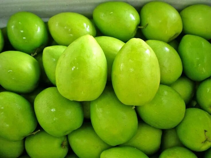 Can i have a fruit green side. Зеленая хурма. тайское яблоко. date фрукт. green date фрукт.