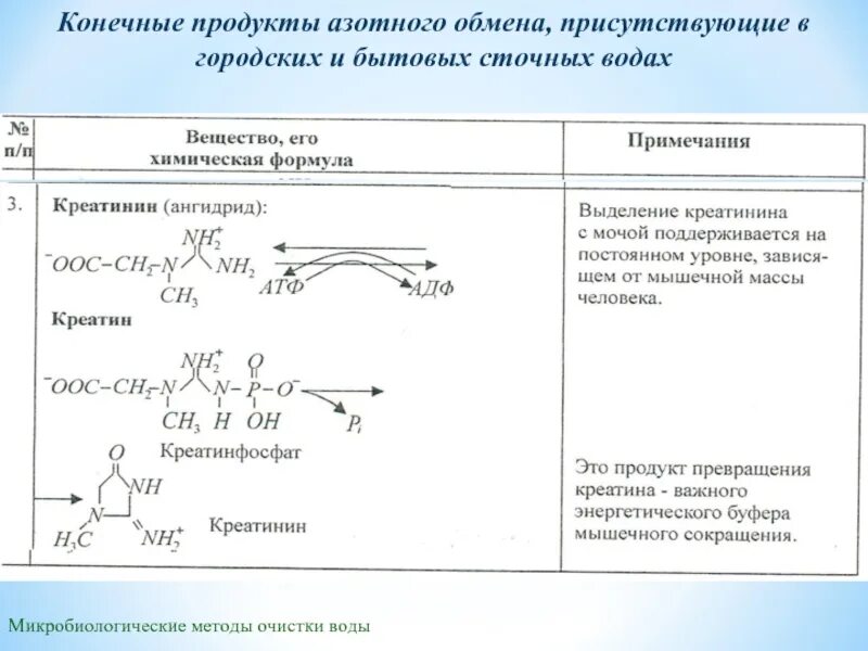 Основной конечный продукт азотистого обмена. Продукты азотистого обмена. Конечные продукты азотистого обмена. Конечные продукты обмена азота. Продукты ахотистого обеса.