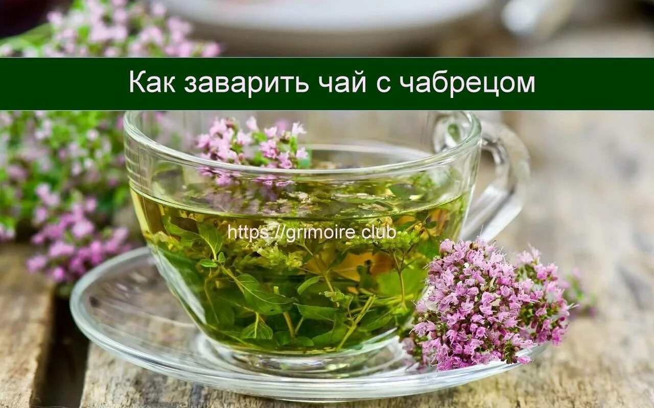 Сколько пить чабрец. Цветы для заварки чая. чай с тимьяном. чай с чабрецом польза. душица.