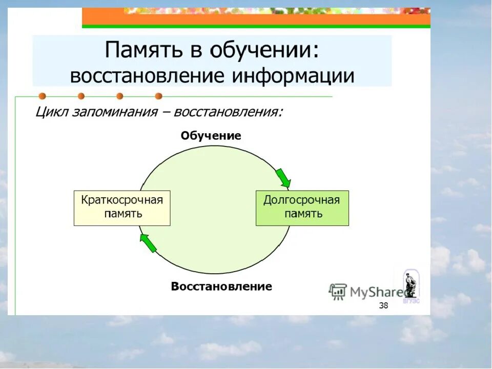 Память и обучение. Краткосрочная память. Образование памяти. Краткосрочная память и долгосрочная память. Память биология 8