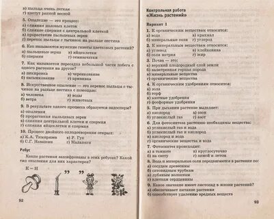 Тест биология 6 класс растения живой организм
