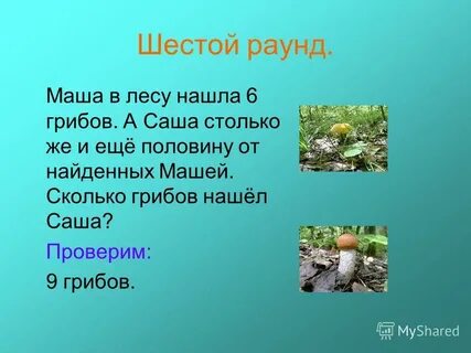 Света таня и катя собирали грибы