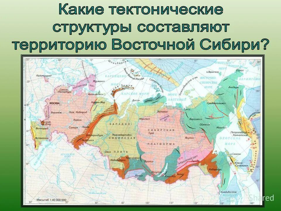 Какой тектонической структуре. Тектонические структуры. Тектоническая структура Восточной Сибири. Восточно Сибирская плита. Тиктонические строение.