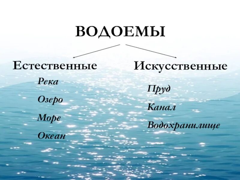 Естественные водоемы. Естественные и исксственные водоёмы. Естественные и искусственные водоемы. Презентация на тему водоемы.